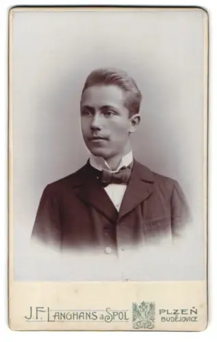 Fotografie J.F. Langhans a Spol, Plzen, Smetanovy Sady 5, Porträt eines jungen Mannes