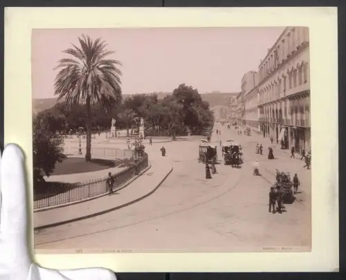 Fotografie G. Sommer, Napoli, Ansicht Napoli, Riviera di Chiaja, Pferdebahn, Grossformat 29 x 24cm