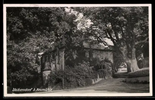 AK Waltersdorf b. Neumühle, Haus unter grossen Bäumen