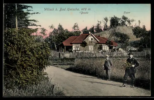 AK Wilisch b. Bad Kreischa, Baude und Koppe