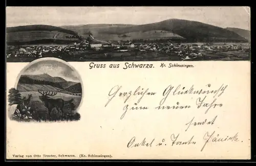 AK Schwarza /Schleusingen, Panoramaansicht des Ortes