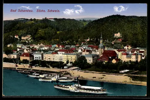 AK Bad Schandau /Sächs. Schweiz, Stadtansicht, Dampfschiffe an der Elbe, Kirche