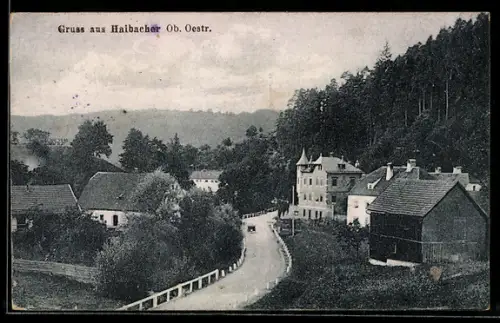 AK Haibach ob der Donau, Strasse mit Häusern und Waldrand