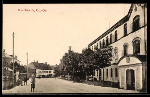 AK Marchtrenk /Ob.-Oe., Strasse mit Häusern und Baumreihe