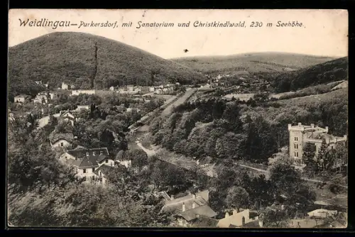 AK Weidlingau-Purkersdorf, Ortsansicht mit Sanatorium und Christkindlwald