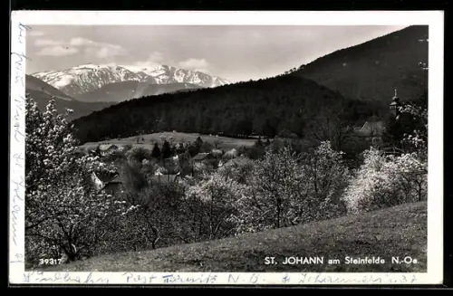 AK St. Johann am Steinfelde, Panorama mit Kirche, Obstbaumgärten und Bergkulisse