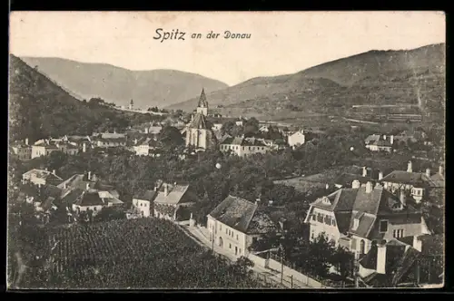 AK Spitz an der Donau, Panorama mit Kirche und Häusern