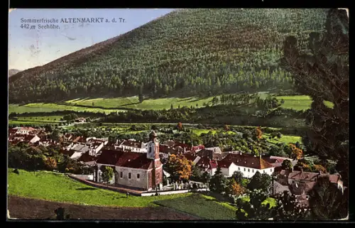 AK Altenmarkt a. d. Tr., Panorama mit Kirche und Bergen