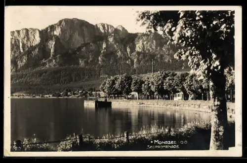 AK Mondsee /O. Ö., Seepromenade mit Bergen