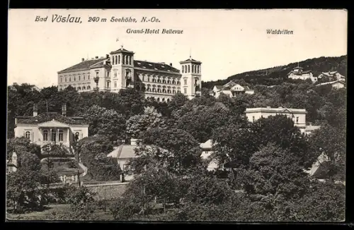 AK Bad Vöslau /N.-Ö., Grand-Hotel Bellevue, Waldvillen