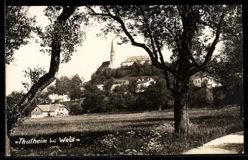 AK Thalheim bei Wels, Panorama mit Kirche