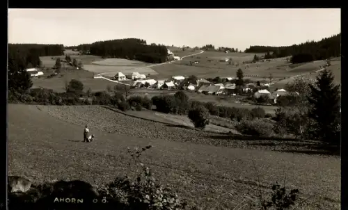 AK Helfenberg /O.-Ö., Ahorn, Teilansicht