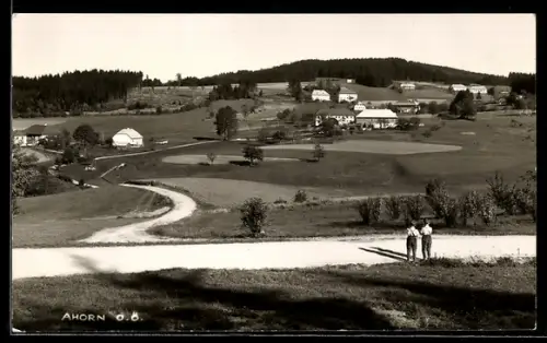 AK Helfenberg /O.-Ö., Ahorn, Ortspartie mit Strasse