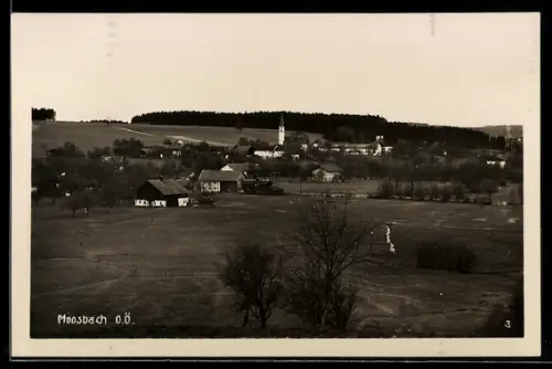 AK Moosbach /O.-Ö., Ortspartie mit Kirche