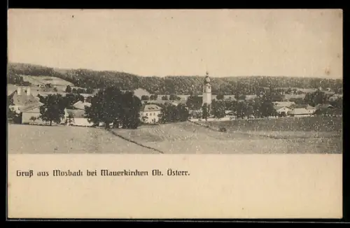 AK Mosbach, Ortsansicht mit Feldern