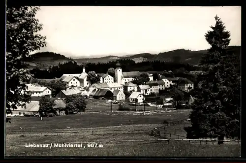 AK Liebenau /Mühlviertel, Dorfpanorama mit Kirche