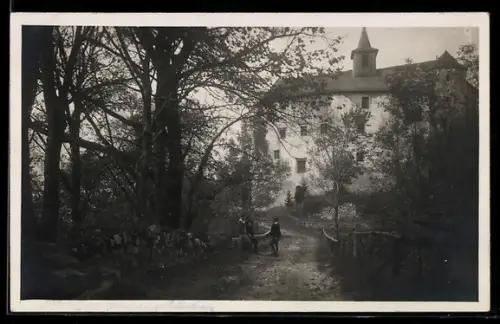 AK Plankenstein, Schloss / Herrenhaus, Zufahrtsweg und Bäumen