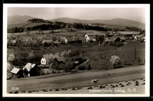 AK Zöbern /N.-Ö., Schlag, Ort und Felder