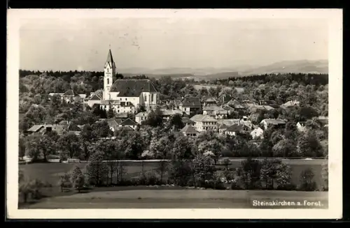 AK Steinakirchen a. Forst., Panorama mit Kirche