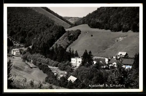 AK Lilienfeld, Niederhof, Talansicht mit Häusern und Wald