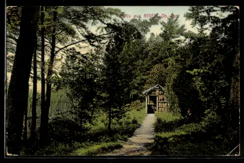 AK Aigen /Ob. Öst., Wegkapelle im Wald