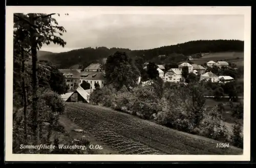 AK Waxenberg /O. Oe., Panorama mit Ort und Häusern