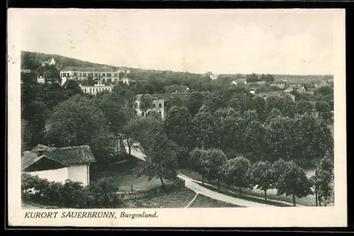 AK Sauerbrunn /Burgenland, Teilansicht mit Park