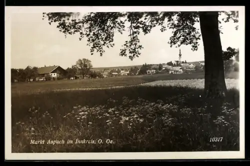 AK Markt Aspach im Innkreis, Panorama mit Kirche