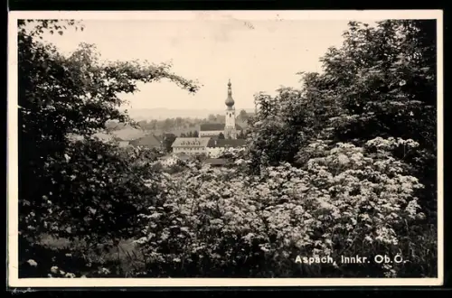 AK Aspach /Innkreis, Panorama mit Kirche
