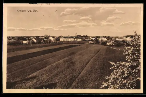 AK Altheim /Ob. Öst., Panorama mit Feldern und Kirche