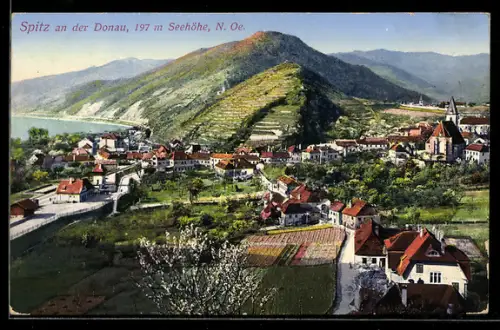 AK Spitz an der Donau, Panorama mit Weinbergen, Donau und Kirche