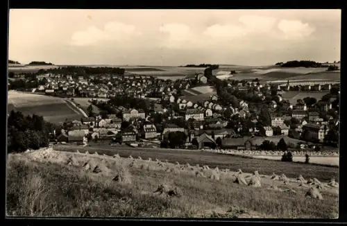 AK Burkhardtsdorf /Erzgeb., Teilansicht mit Heugarben