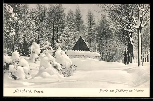 AK Annaberg / Erzgebirge, Partie am Pöhlberg im Winter