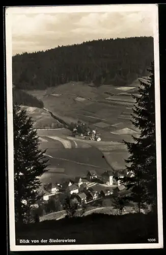 AK Mengersgereuth-Hämmern /Thür., Ortsansicht von der Siederswiese