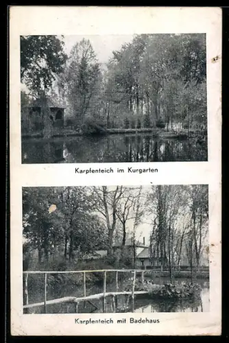 AK Bad Blenhorst /Nienburg, Karpfenteich im Kurgarten, Karpfenteich mit Badehaus