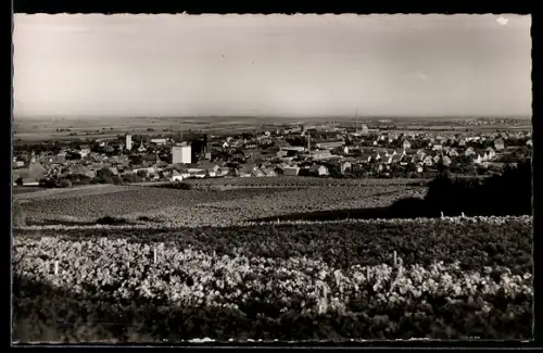 AK Grünstadt a. d. Weinstrasse, Blick auf Stadt und Umgebung