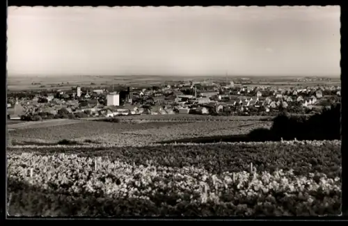 AK Grünstadt a. d. Weinstrasse, Blick auf Stadt und Umgebung