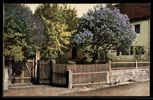 AK Photochromie NR. 1271: Schöne Bäume im Garten eines Hauses