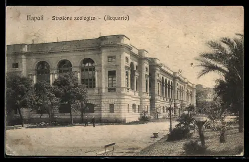 AK Napoli, Stazione zoologica