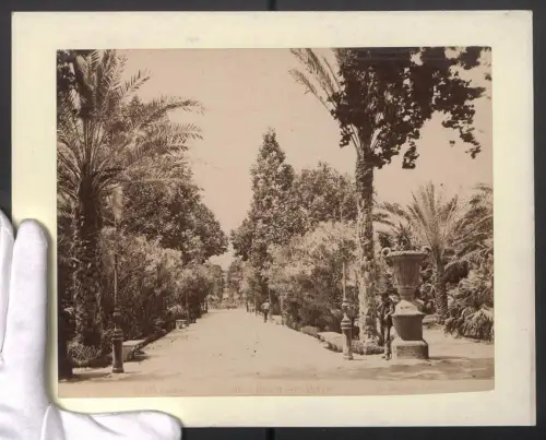Fotografie G. Incorpora, Palermo, Ansicht Palermo, Villa Giulia, Entrata, Grossformat 31 x 24cm