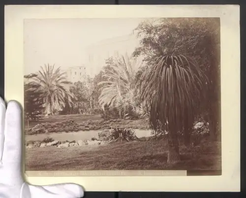 Fotografie G. Incorpora, Palermo, Ansicht Palermo, Dettaglio Giardino Garibaldi, Grossformat 31 x 24cm