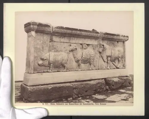 Fotografie unbekannter Fotograf, Ansicht Roma, Balaustro con Bossorilievo dei Souvetuarilia, Foro Romano, 31 x 24cm