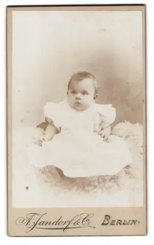 Fotografie F. Jandorf & Co., Berlin, Spittelmarkt 16/17, Porträt eines kleinen Kindes