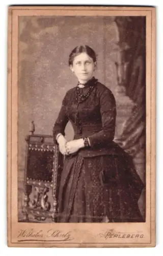 Fotografie Wilhelm Schulz, Perleberg, Wiltenbergerstr. 12, Dame mit elegantem Kleid