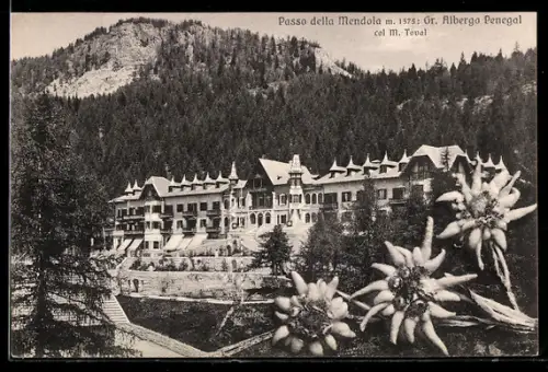 AK Passo della Mendola, Gr. Albergo Penegal con M. Tovai e fiori di montagna