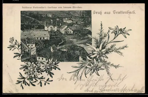 AK Trattenbach, Gasthaus zum braunen Hirschen, Bes. Balthasar Fuchsreiter, Ortsansicht