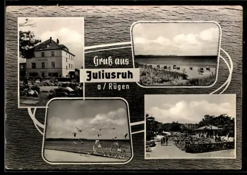 AK Juliusruh a./Rügen, Strand mit Strandkörben, Möwen, Kurpromenade