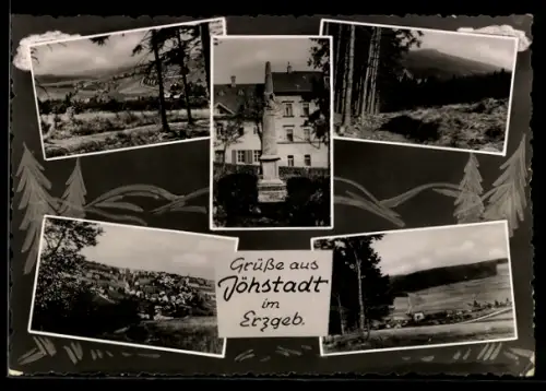AK Jöhstadt im Erzgeb., Ortsansichten, Denkmal, Waldpartie