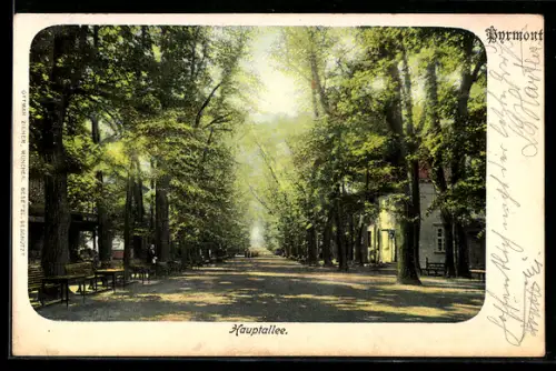 AK Pyrmont, In der Hauptallee