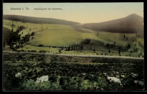 AK Oberhof i. Thür., Kanzlergrund mit Ruppberg aus der Vogelschau
